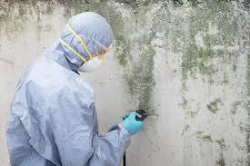 Best Industrial Mold Remediation in Penngrove, CA